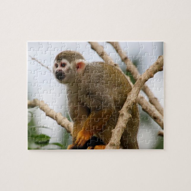 Monkey_2014_1201 Jigsaw Puzzle (Horizontal)