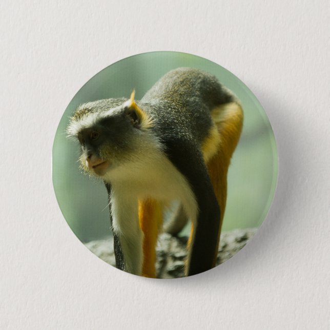 Monkey 6 Cm Round Badge (Front)