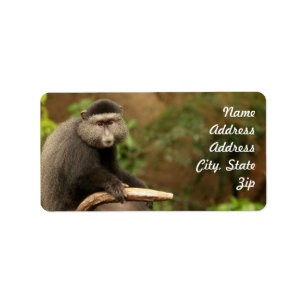 Monkey Address Sticker