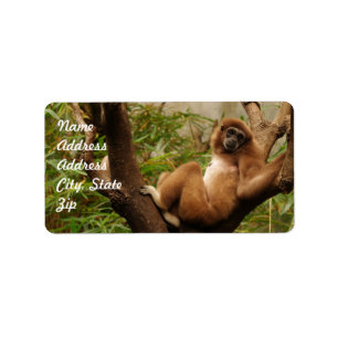 Monkey Address Sticker