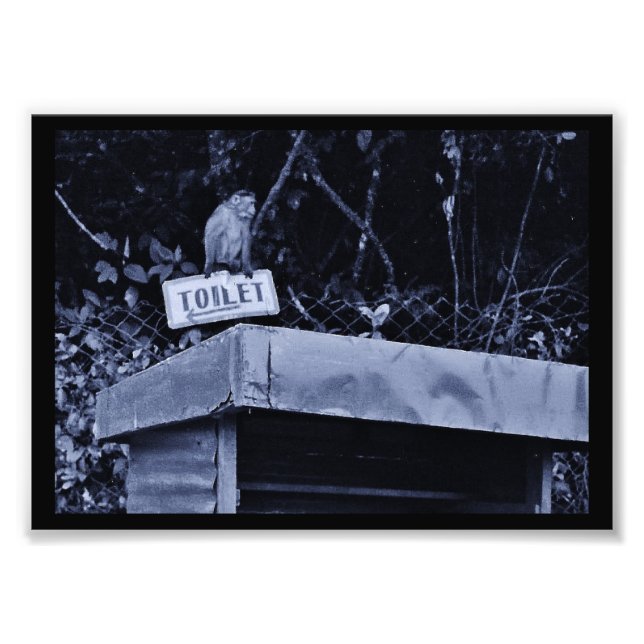 Monkey at Work Photo Print (Front)