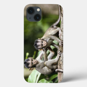 Monkey Babies in Nature iPhone 13 Case