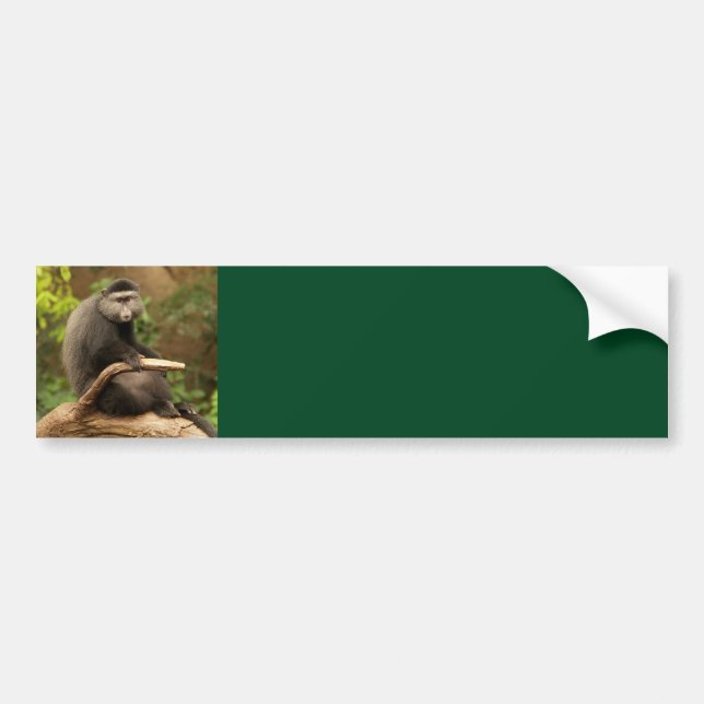 Monkey  Background Bumper Sticker (Front)
