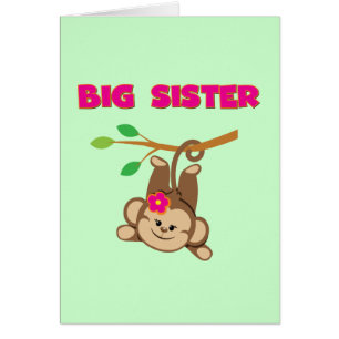 Monkey Big Sister