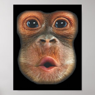 Monkey Blowing Stomach Face  Poster