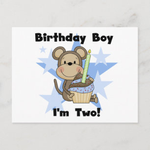 Monkey Boy 2nd Birthday Tshirts and Gifts Postcard