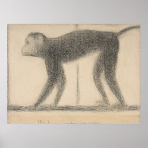 Monkey by Georges Seurat Poster