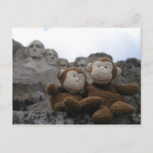 monkey_chimp_rushmore.JPG Postcard (Front)