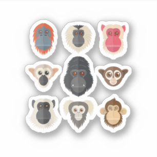 Monkey Chimpanzee Gorilla Spider Monkey Squirrel M