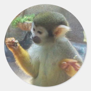 Monkey Classic Round Sticker