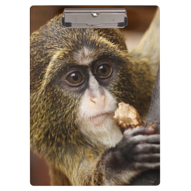 Monkey Climbing Tree Photo Clipboard (Front)