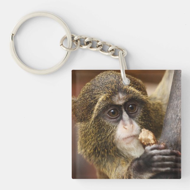 Monkey Climbing Tree Photo Key Ring (Front)