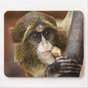 Monkey Climbing Tree Photo Mouse Pad
