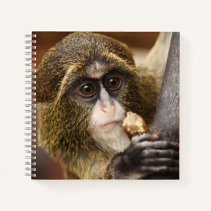 Monkey Climbing Tree Photo Notebook