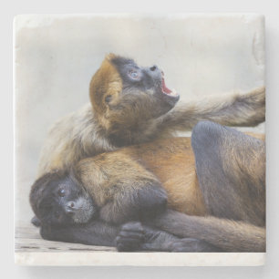 Monkey Coaster 