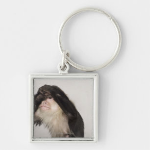Monkey covering its eyes key ring