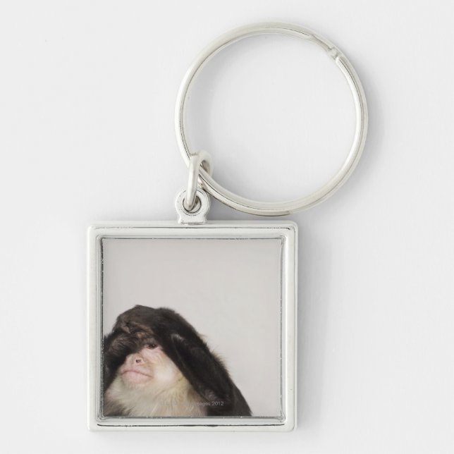 Monkey covering its eyes key ring (Front)