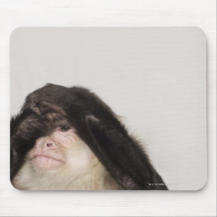 Monkey covering its eyes mouse pad