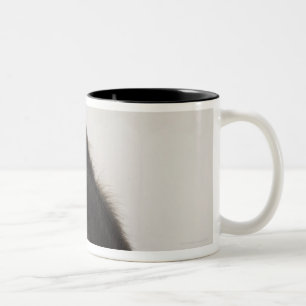 Monkey covering its eyes Two-Tone coffee mug