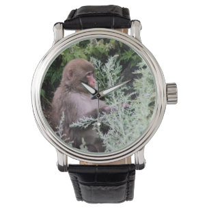 Monkey Daily Pick Watch