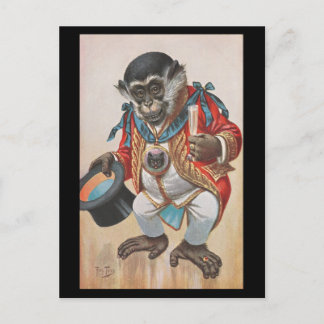 Monkey dressed up - vintage German postcard