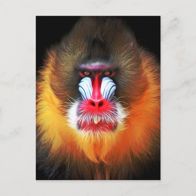 monkey face postcard (Front)