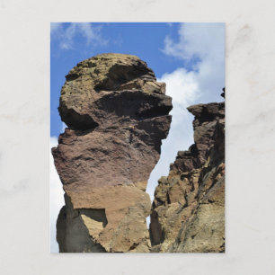 Monkey Face Postcard