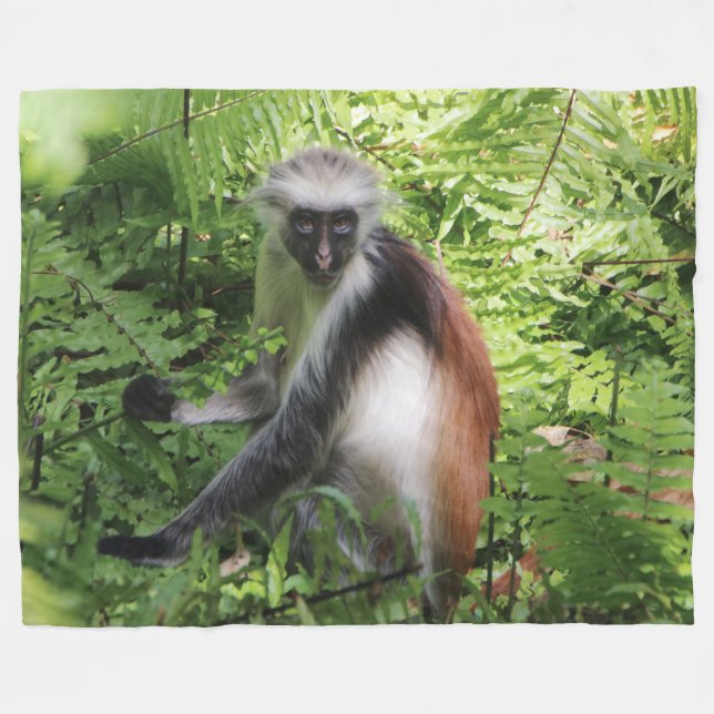 Monkey Fleece Blanket (Front (Horizontal))
