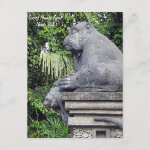 Monkey Forest Postcard