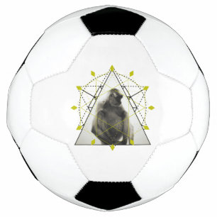Monkey Geometry Soccer Ball
