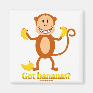 Monkey - Got bananas? magnet
