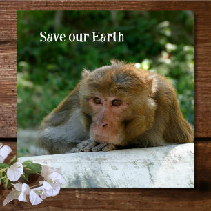 Monkey - Grandfather Glass Coaster