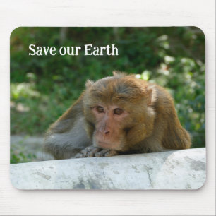 Monkey - Grandfather Mouse Pad