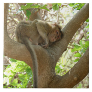 Monkey - I am sooo tired Ceramic Tile