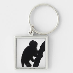 Monkey in a tree, Railay peninsula, Key Ring