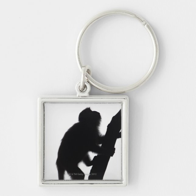 Monkey in a tree, Railay peninsula, Key Ring (Front)