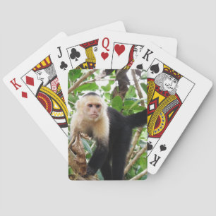 Monkey in Costa Rica Playing Cards