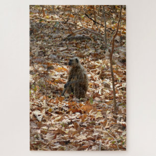 Monkey in Dry Season Jigsaw Puzzle
