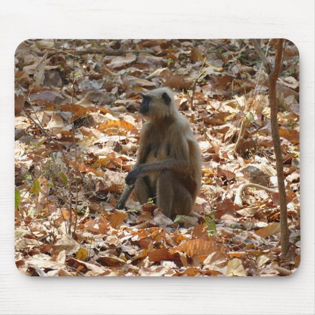 Monkey in Dry Season Mouse Pad (Front)
