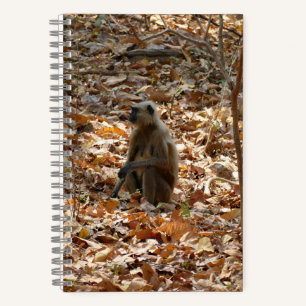 Monkey in Dry Season Notebook