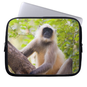 Monkey in jungle of Ranthambore National Park Laptop Sleeve