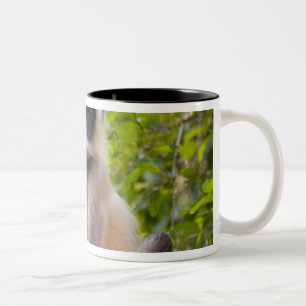 Monkey in jungle of Ranthambore National Park Two-Tone Coffee Mug
