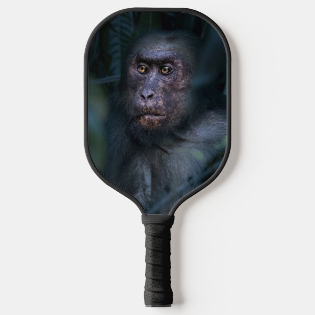 Monkey in the Jungle  Pickleball Paddle (Front)