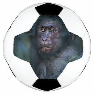 Monkey in the Jungle Soccer Ball