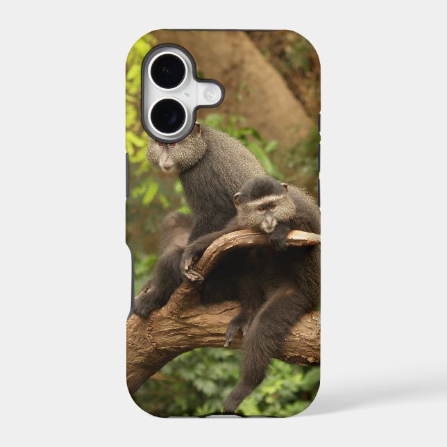 Monkey iPhone 5 (Back)