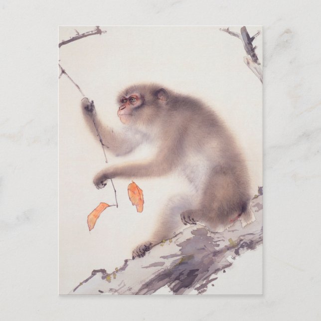 Monkey Japanese Painting Chinese Zodiac Birthday P Holiday Postcard (Front)