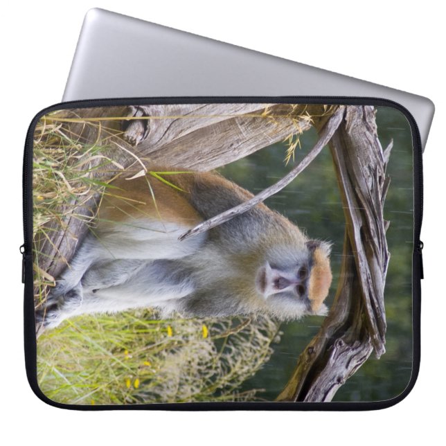 Monkey Laptop Sleeve (Front)