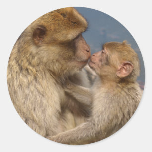 Monkey Love Classic Round Sticker
