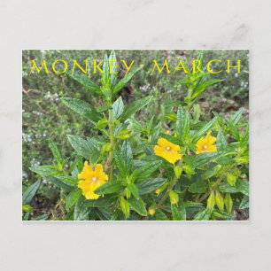Monkey March Postcard