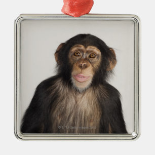 Monkey Metal Ornament